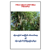 ဒန့်သလွန်ပင်အကြောင်းသိကောင်းစရာနှင့်ဒန့်သလွန်ပင်စိုက်ုပျိုးနည်းစနစ်များ